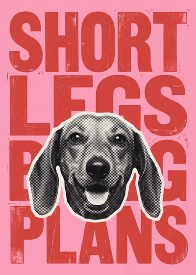 Short Legs Big Plans — dachshund print