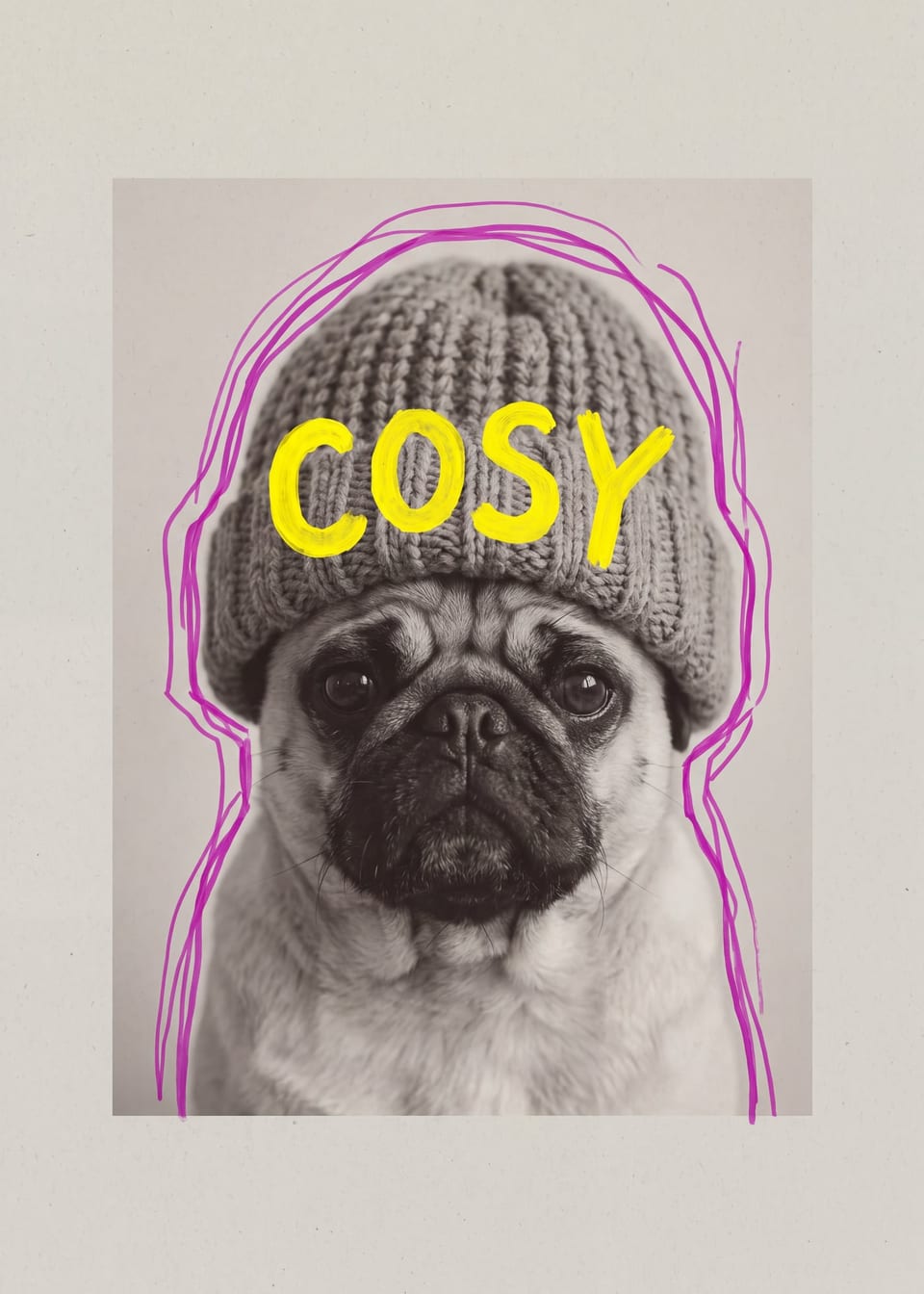 Cosy — pug print