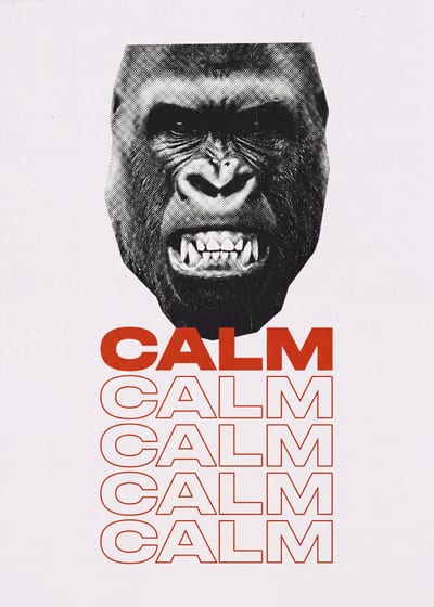 Calm — gorilla print